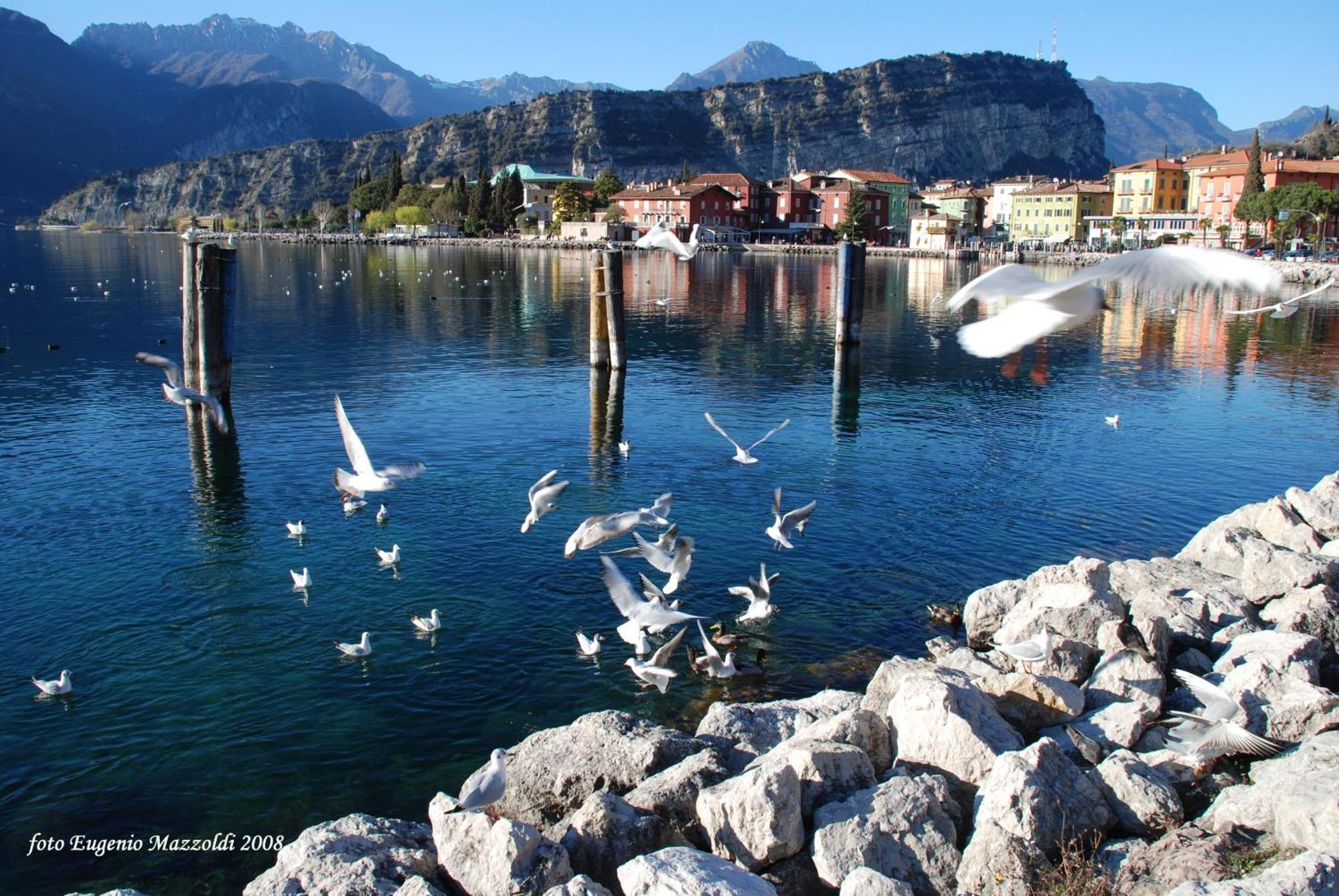 Casa Marco Apartamento Torbole Sul Garda Exterior foto